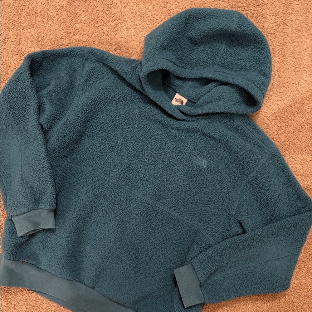 Women’s the north face Teal Hooded Sweater